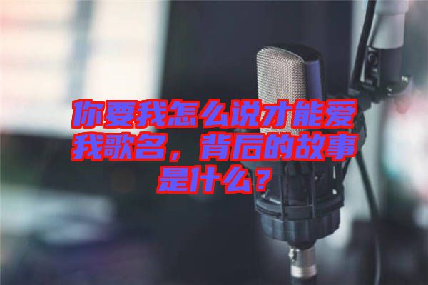 你要我怎么說(shuō)才能愛(ài)我歌名，背后的故事是什么？