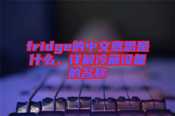 fridge的中文意思是什么，詳解冷藏設備的名稱