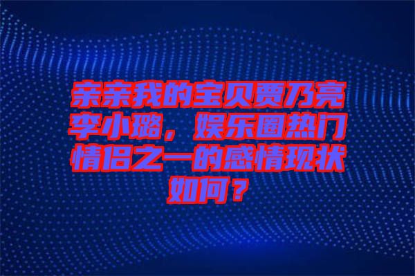 親親我的寶貝賈乃亮李小璐，娛樂圈熱門情侶之一的感情現(xiàn)狀如何？