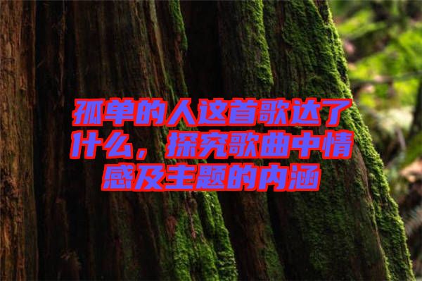 孤單的人這首歌達了什么，探究歌曲中情感及主題的內涵