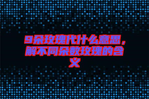 9朵玫瑰代什么意思，解不同朵數玫瑰的含義