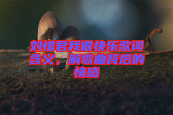 劉惜君我很快樂(lè)歌詞含義，解歌曲背后的情感