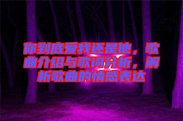 你到底愛我還是他，歌曲介紹與歌詞分析，解析歌曲的情感表達