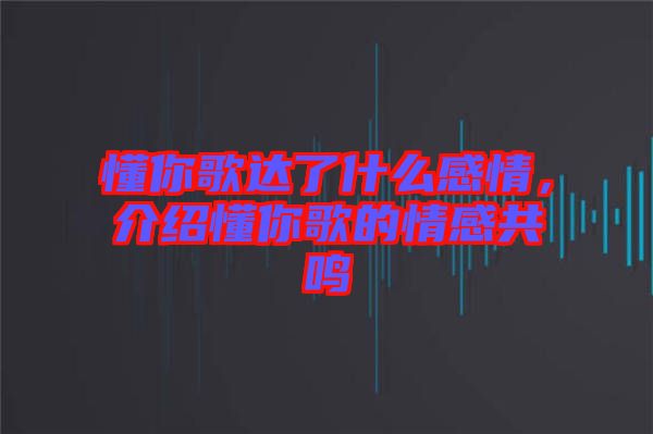 懂你歌達了什么感情，介紹懂你歌的情感共鳴