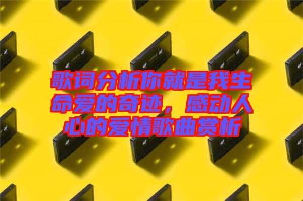 歌詞分析你就是我生命愛的奇跡，感動人心的愛情歌曲賞析