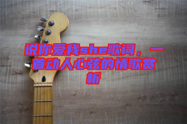 說你愛我she歌詞，一首動人心弦的情歌賞析