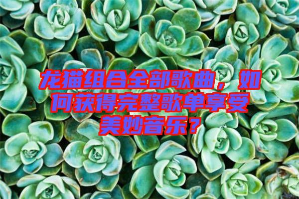 龍貓組合全部歌曲，如何獲得完整歌單享受美妙音樂？