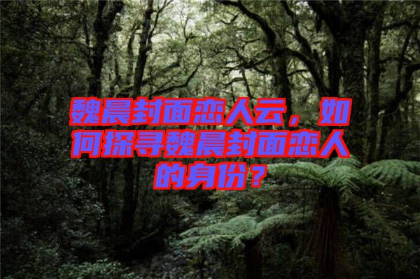 魏晨封面戀人云，如何探尋魏晨封面戀人的身份？