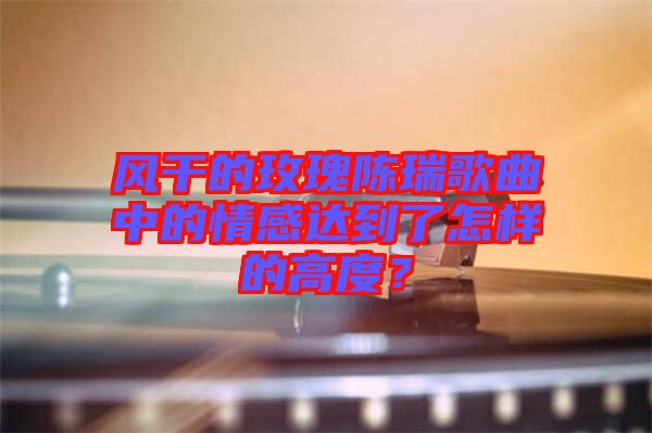 風干的玫瑰陳瑞歌曲中的情感達到了怎樣的高度？