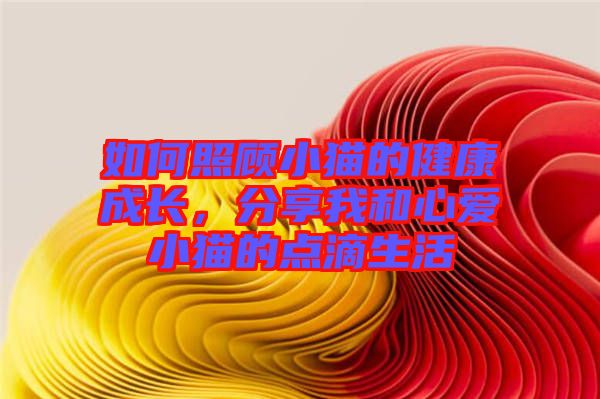 如何照顧小貓的健康成長(zhǎng)，分享我和心愛(ài)小貓的點(diǎn)滴生活